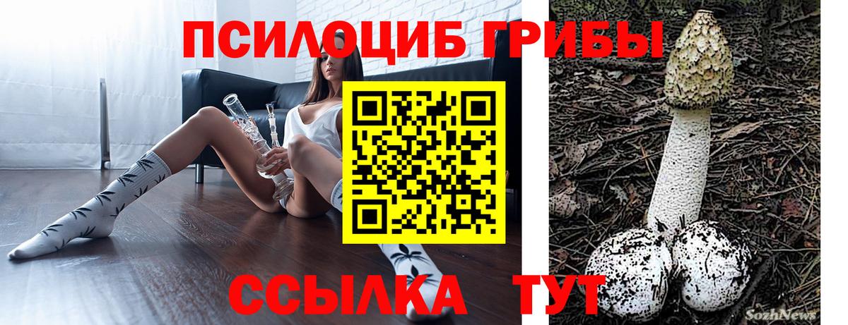 Галлюциногенные грибы мухоморы Алейск
