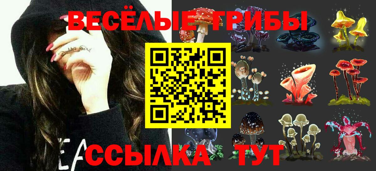 Алейск  Галлюциногенные грибы Psilocybe  Псилоцибиновые грибы GOLDEN TEACHER  где купить наркоту  Вход с VPN 